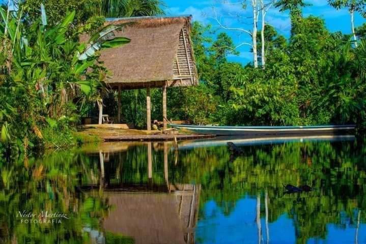 Misahualli Laguna Paikawe B&B Dış mekan fotoğraf