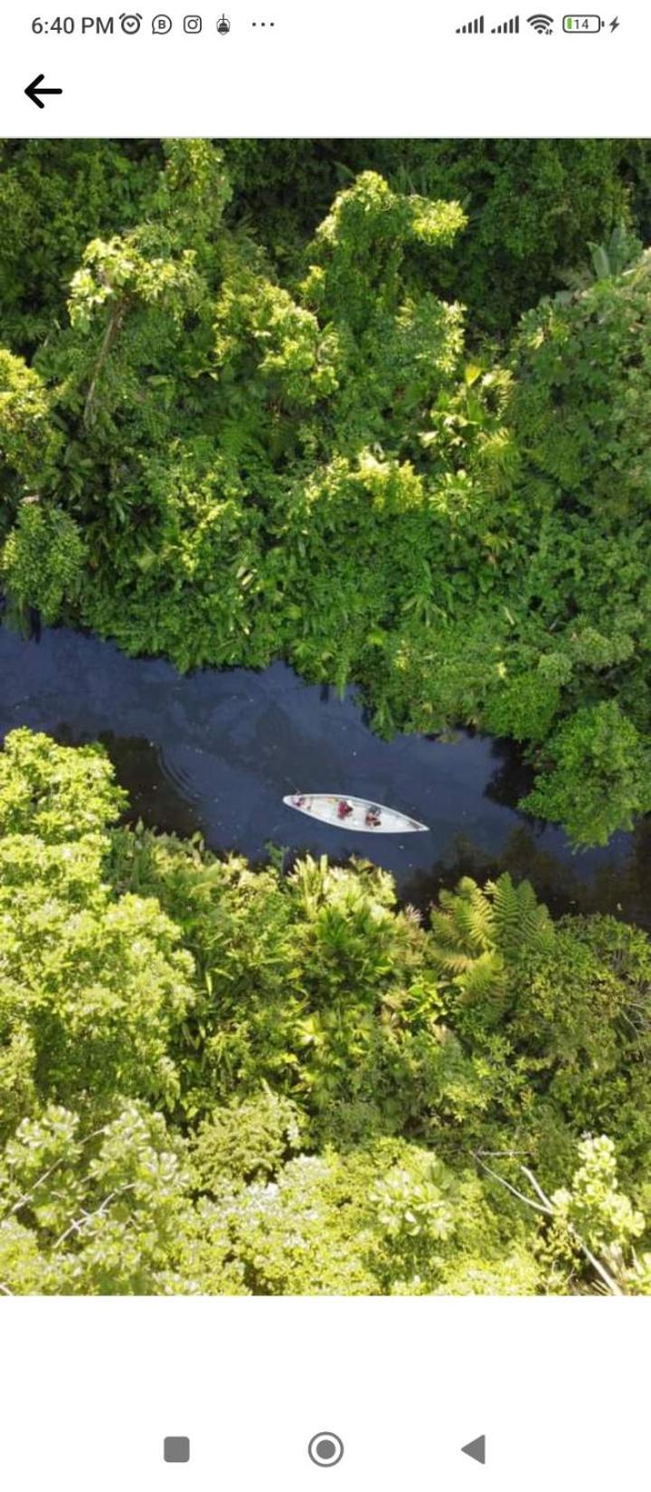Misahualli Laguna Paikawe B&B Dış mekan fotoğraf