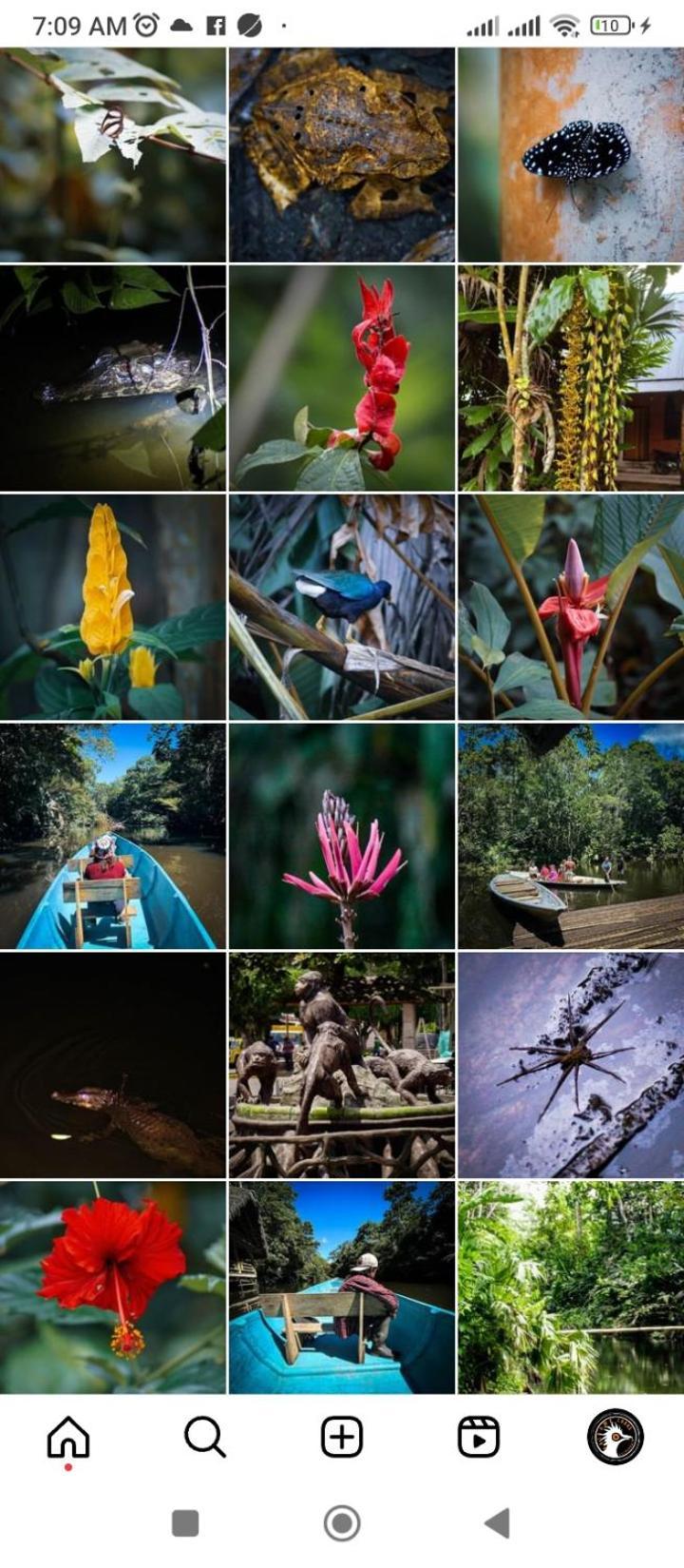 Misahualli Laguna Paikawe B&B Dış mekan fotoğraf