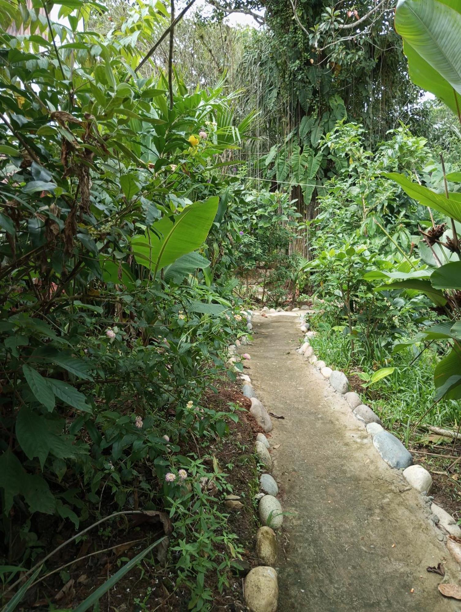 Misahualli Laguna Paikawe B&B Dış mekan fotoğraf