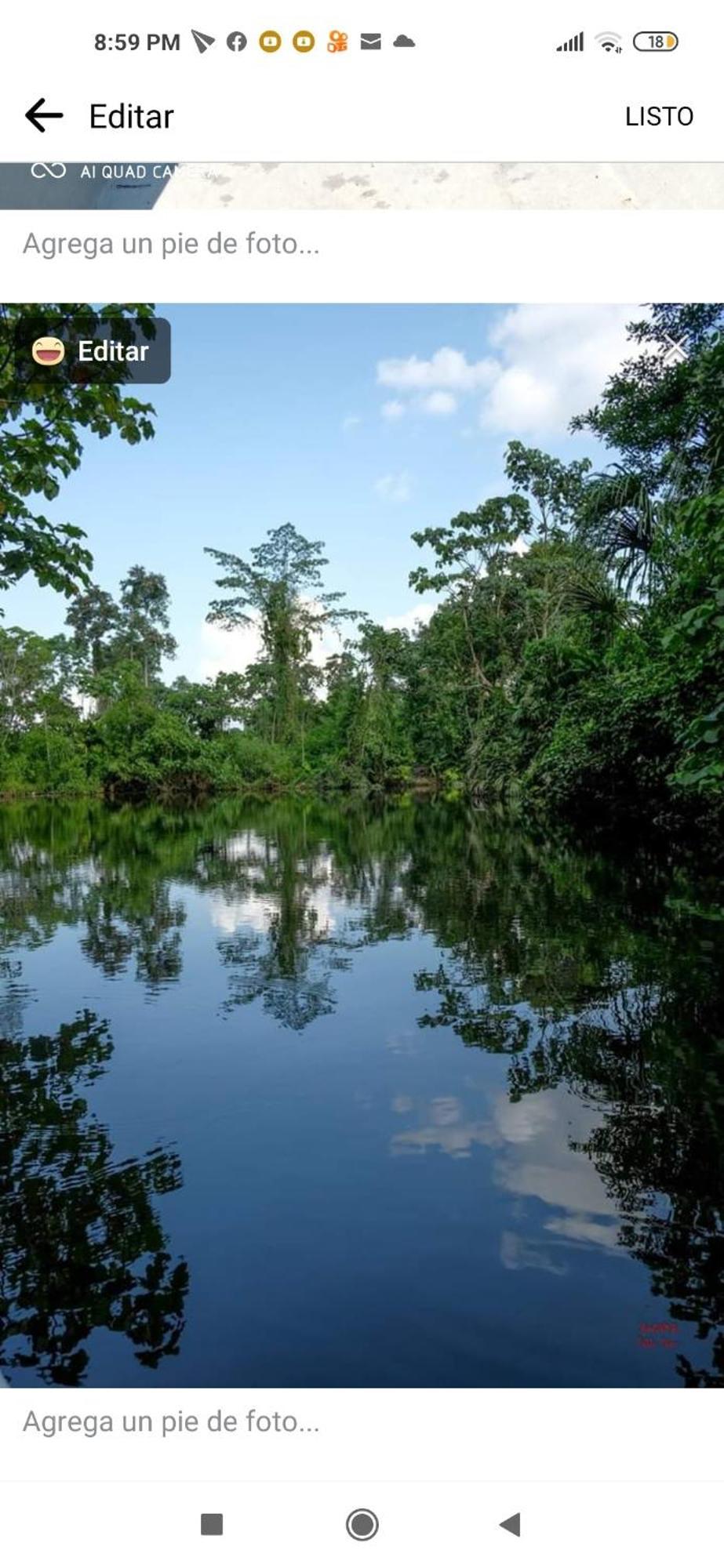 Misahualli Laguna Paikawe B&B Oda fotoğraf