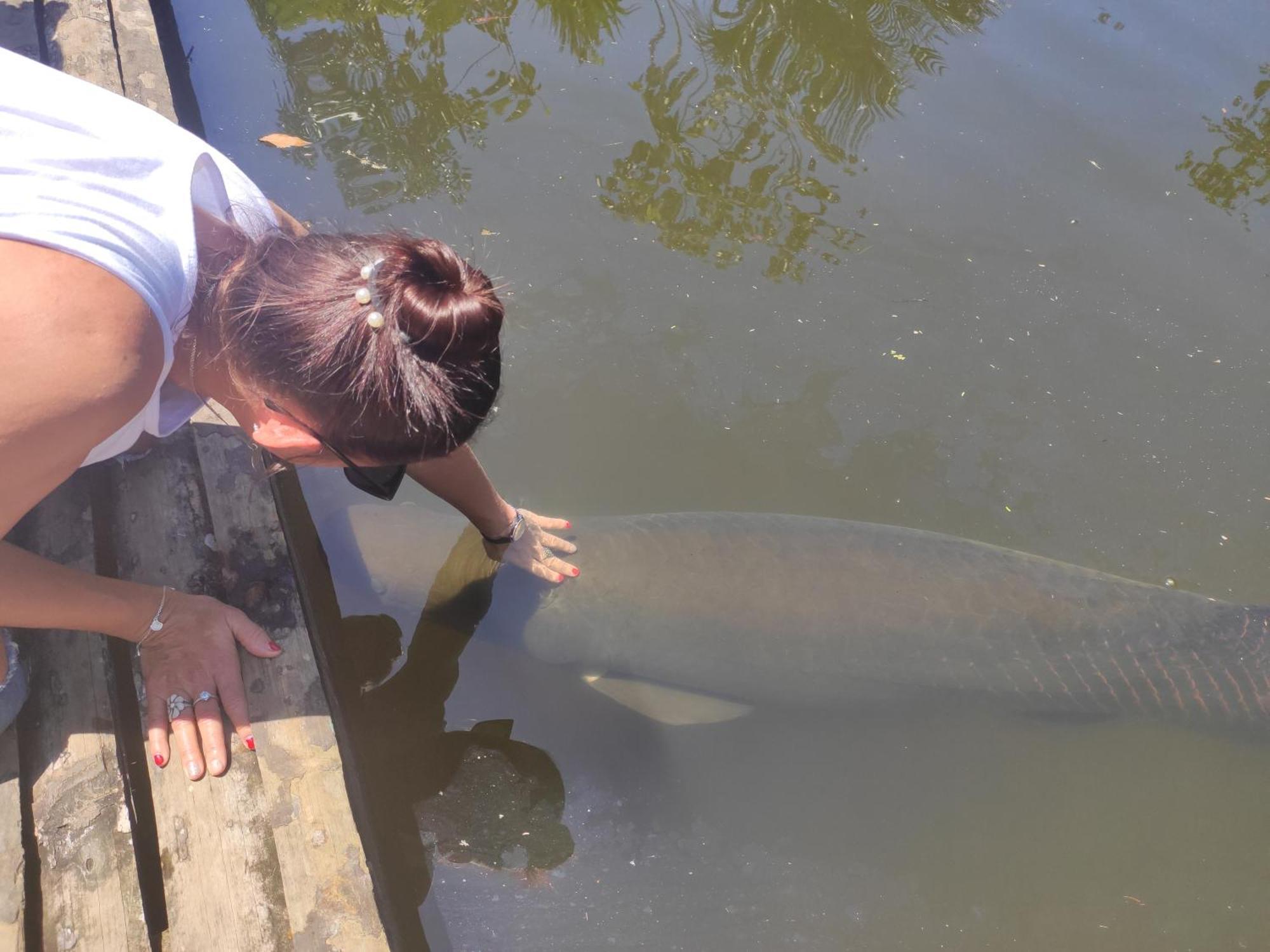 Misahualli Laguna Paikawe B&B Oda fotoğraf