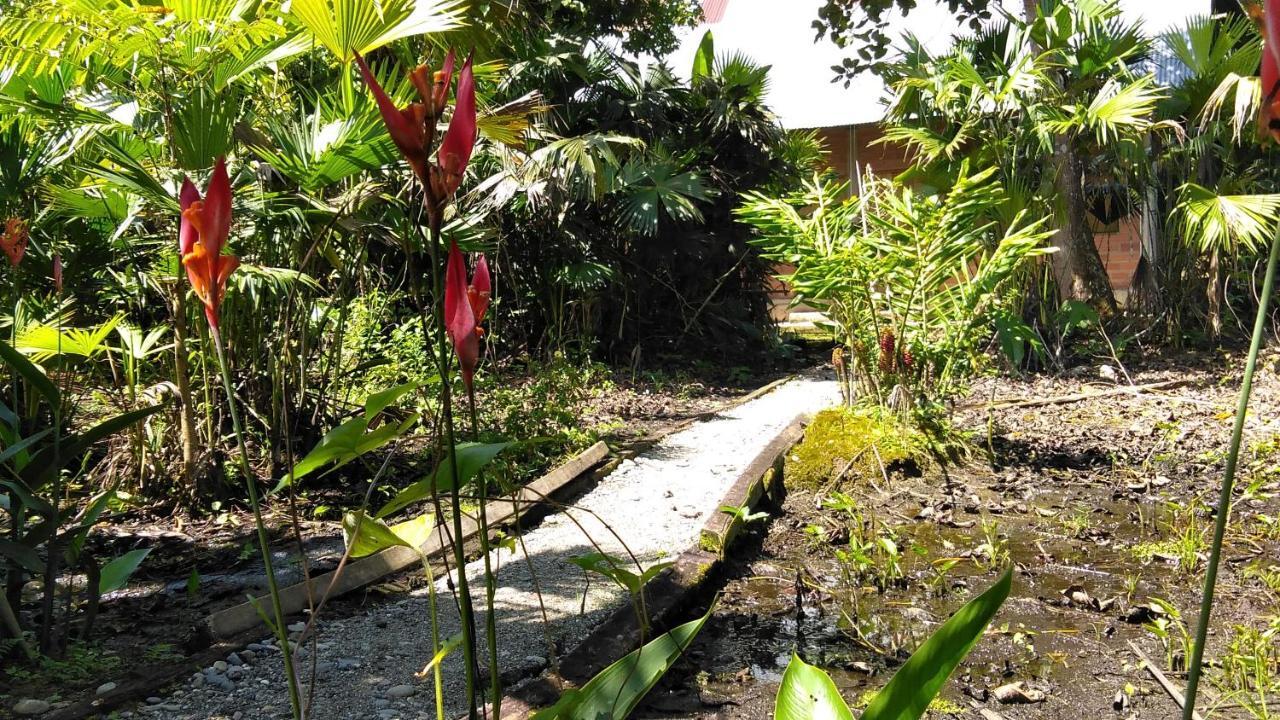 Misahualli Laguna Paikawe B&B Dış mekan fotoğraf