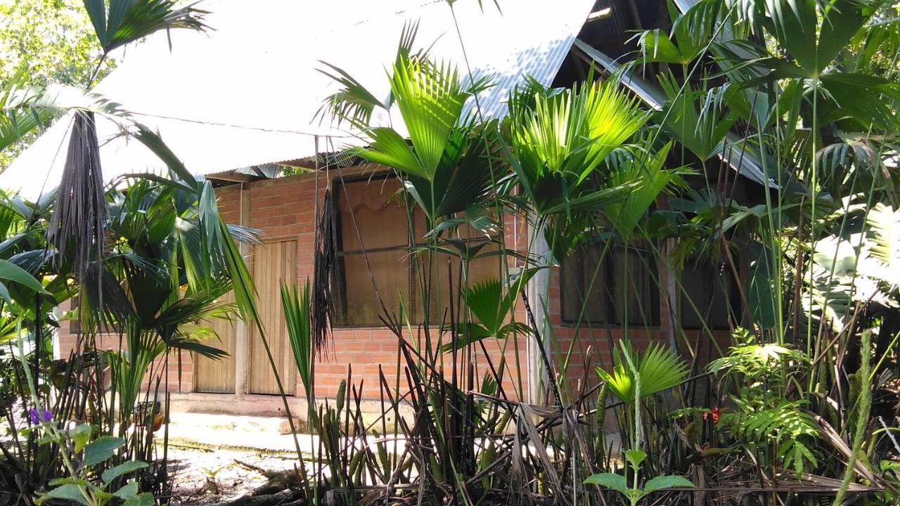 Misahualli Laguna Paikawe B&B Dış mekan fotoğraf