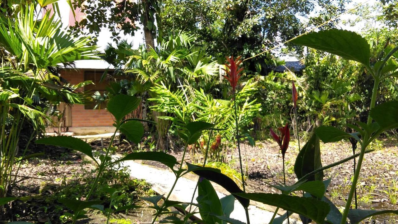 Misahualli Laguna Paikawe B&B Dış mekan fotoğraf